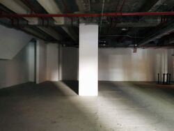 Grand Hyatt Singapore (D9), Shop House #441849831